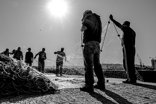 Viana do Castelo
Pescadores desembara&ccedil;ando redes de pesca.<br /><br />Fishermen untangling fishing nets.<br /><br />
Fishermen / fishing boats / fishing equipment
Luís Sérgio Gonçalves